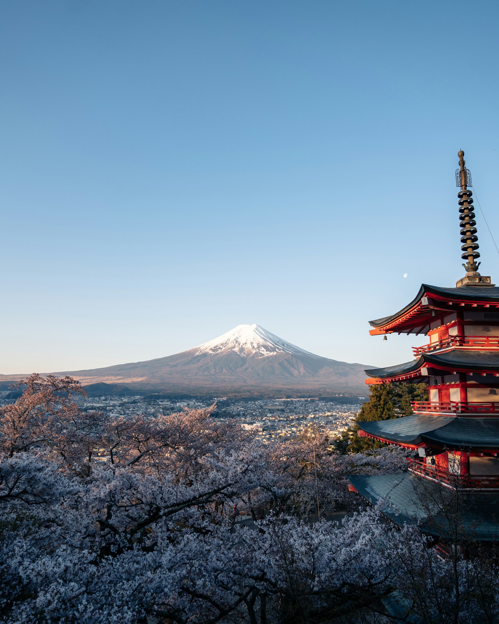 Mount Fuji and cherry blossoms evoke the Japan setting of the Forza Horizon 6 soundtrack