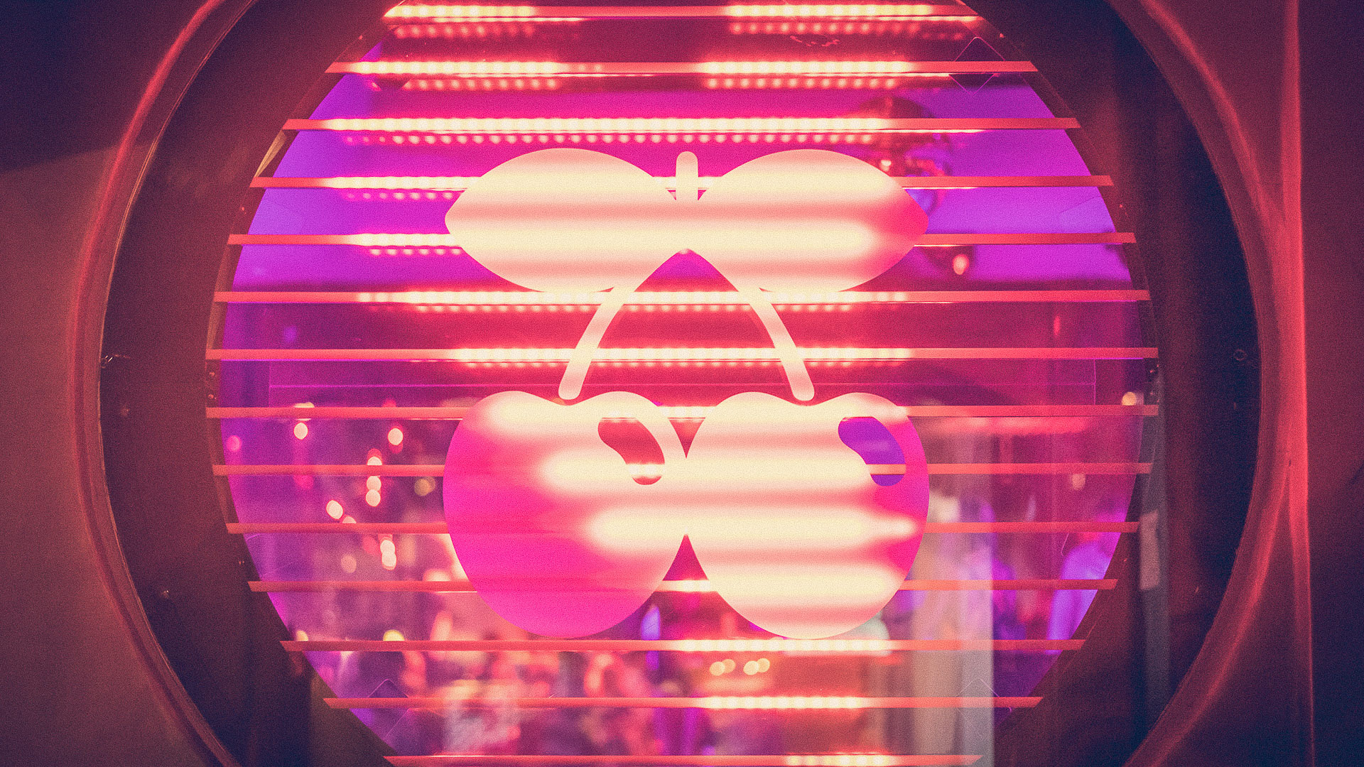 Pacha Ibiza, home of the Solomun +1 residency