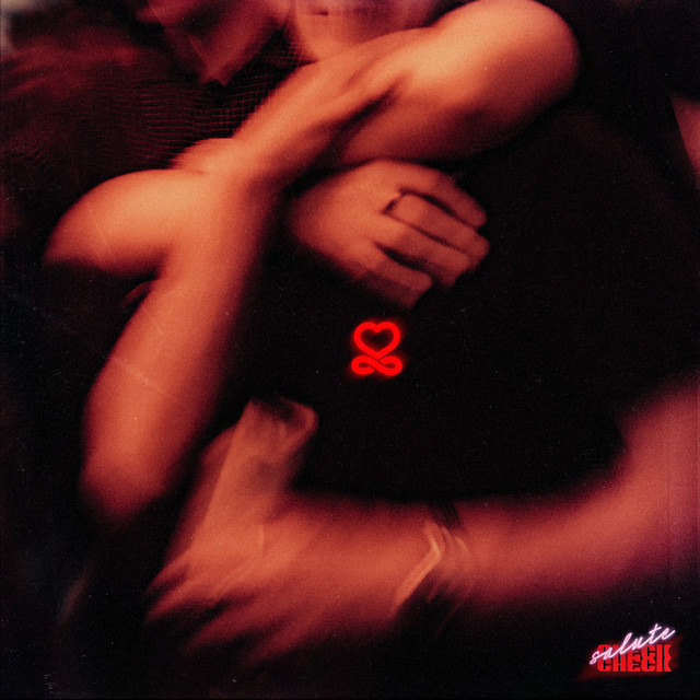 salute check check single artwork from the infinite passion mixtape
