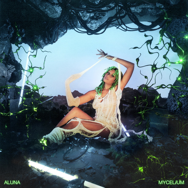Mine O Mine single artwork by Aluna and Jayda G from the GTA 6 trailer